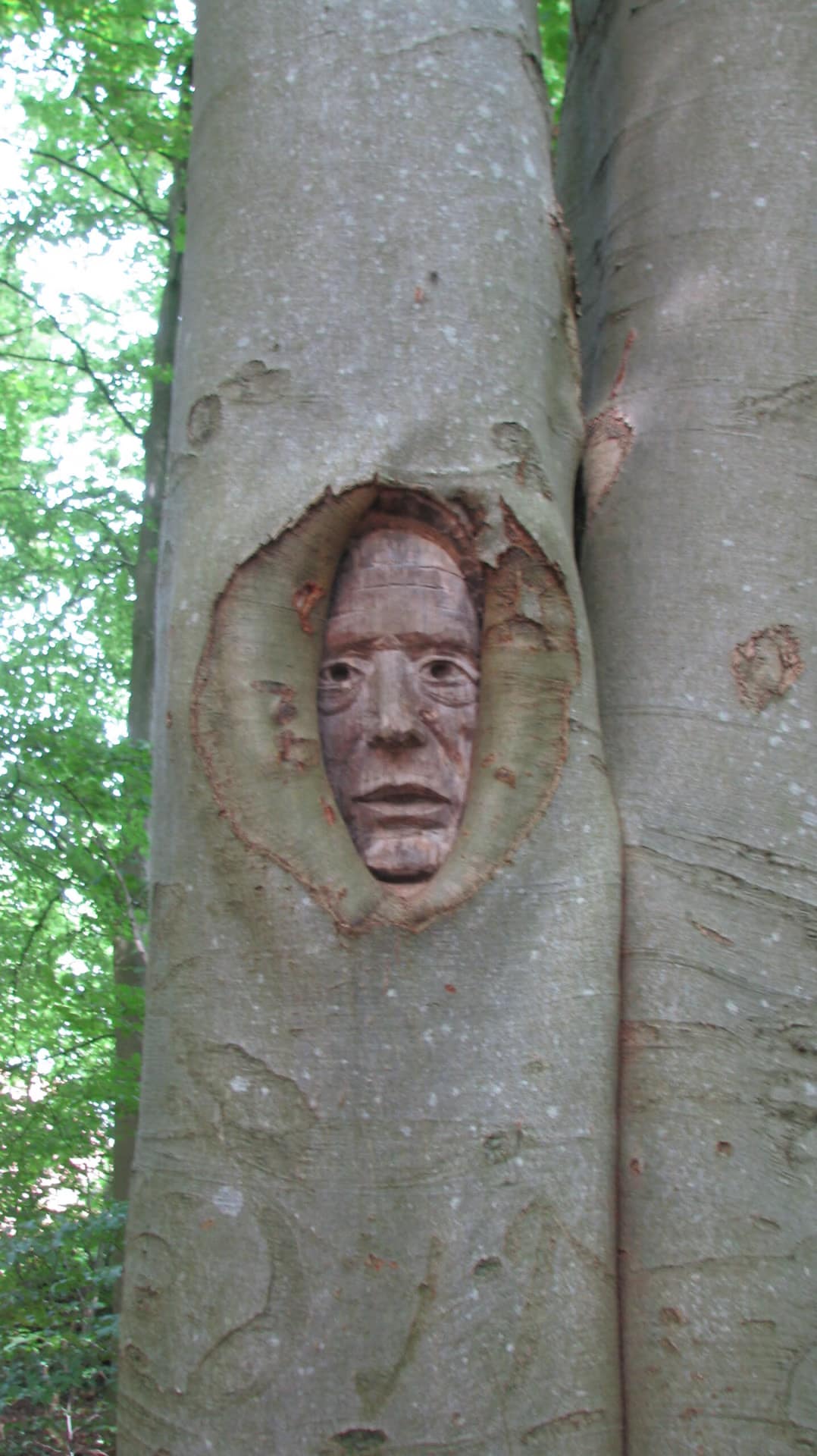 The Art of Drawing Readers In: Your attractive post title goes here Hoofd In Boomstam